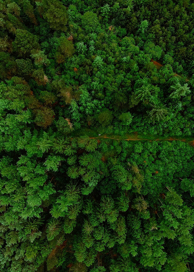 World From Above