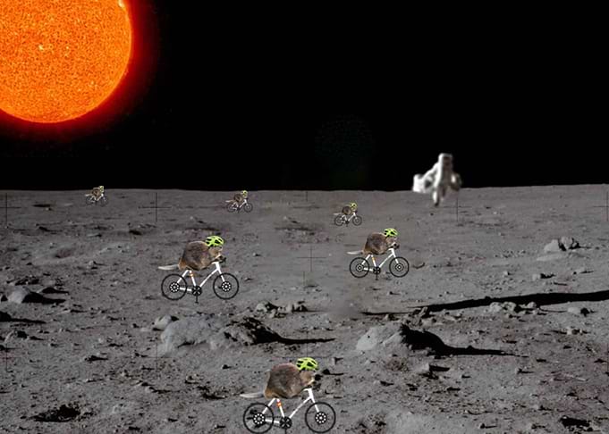The special Moon