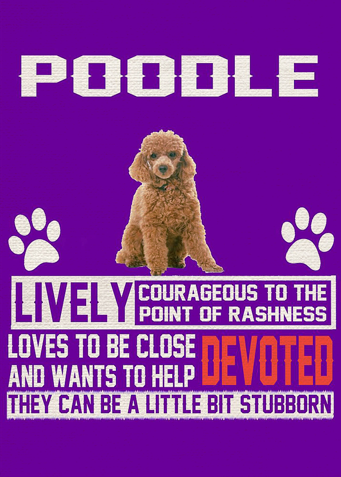 Poodle art
