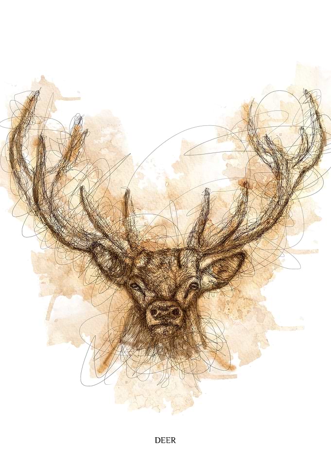 Deer Scribble