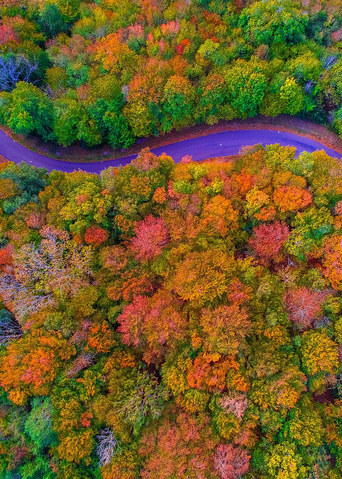 World From Above