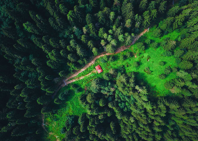 World From Above