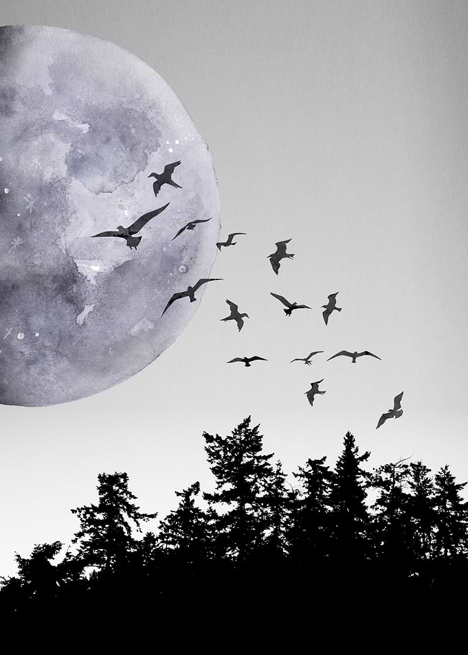 Birds above the forest 2