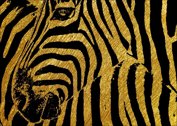 Golden Zebras