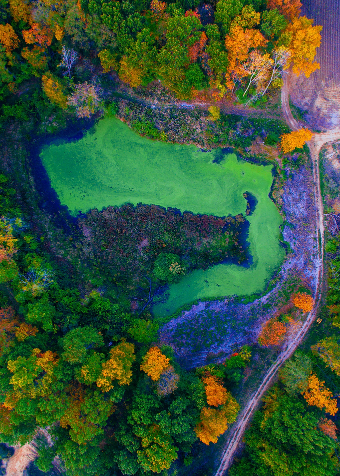 World From Above
