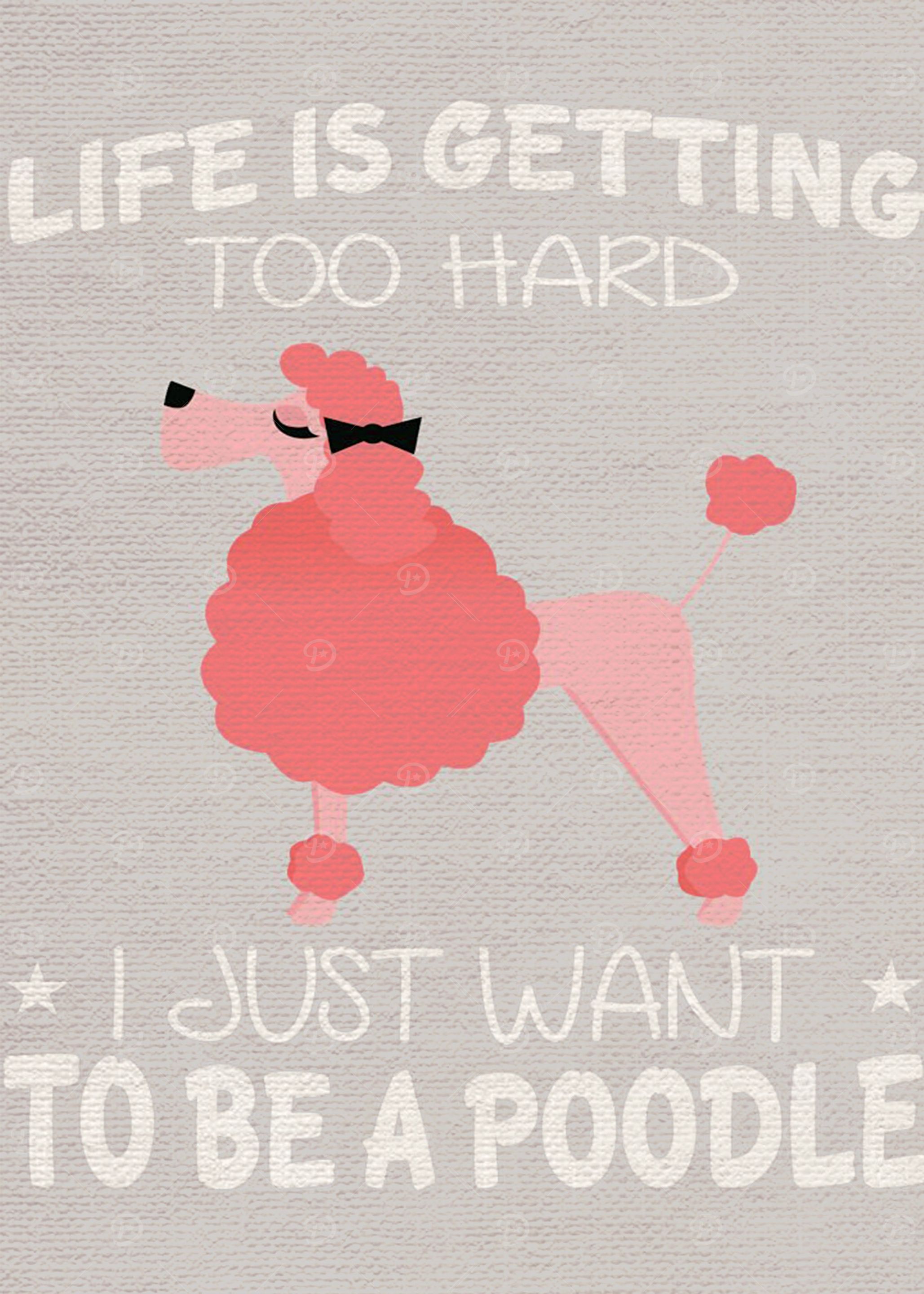 Poodle Poster