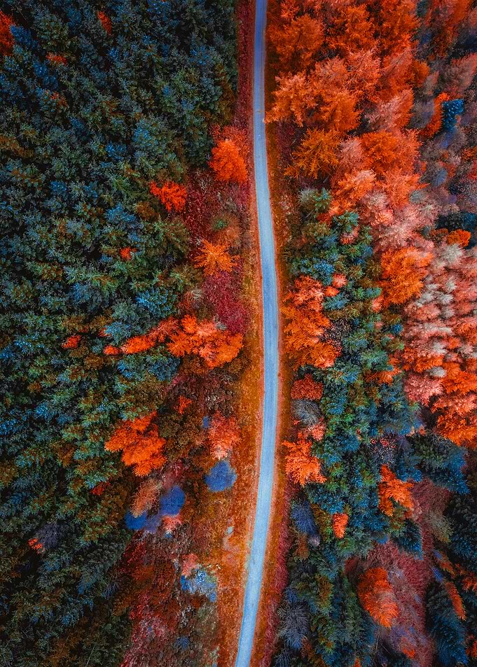 World From Above
