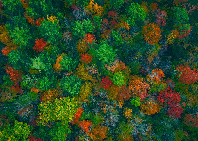 World From Above