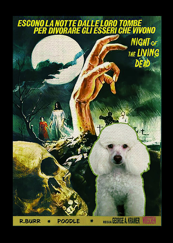 Poodle art
