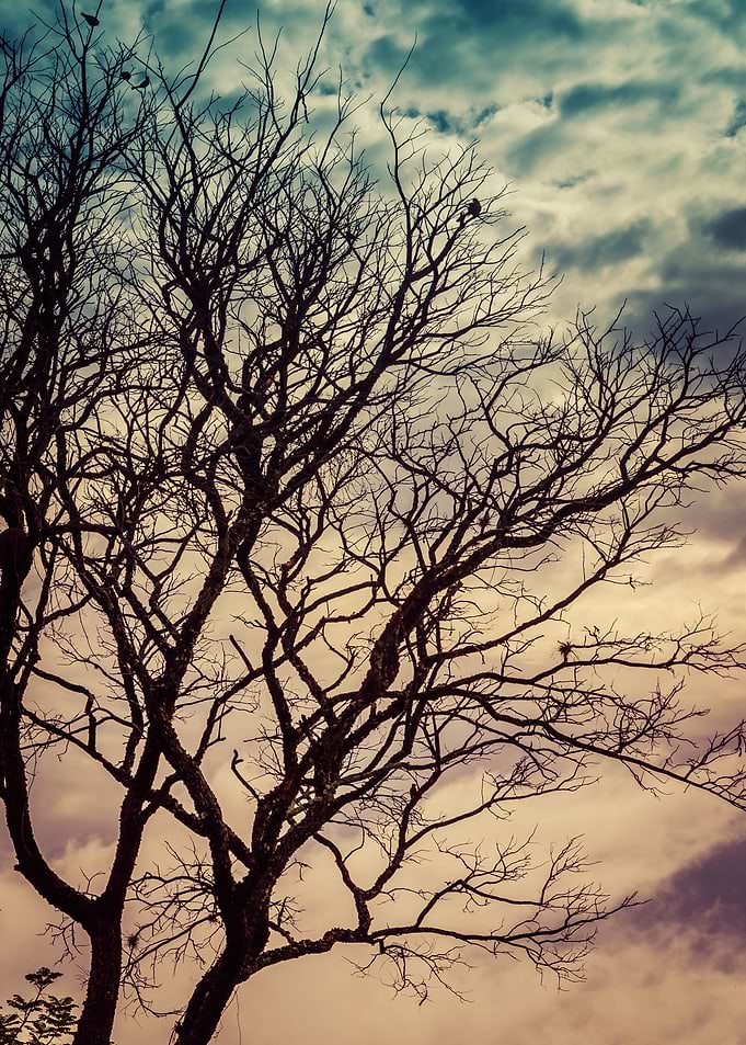 end of season