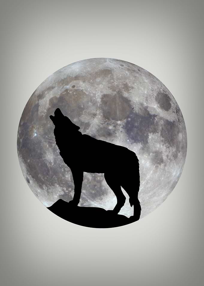 Moon of the Wolf 4