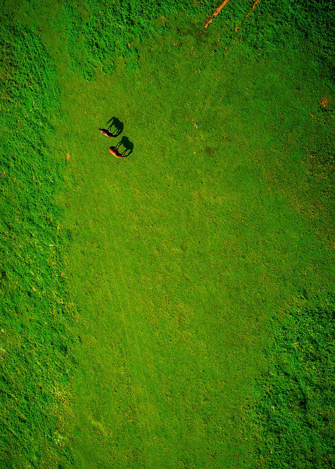 World From Above