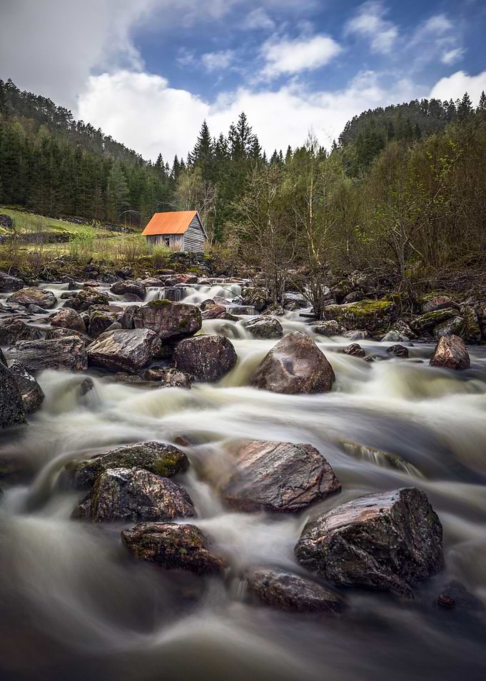 Cabin in the Woods