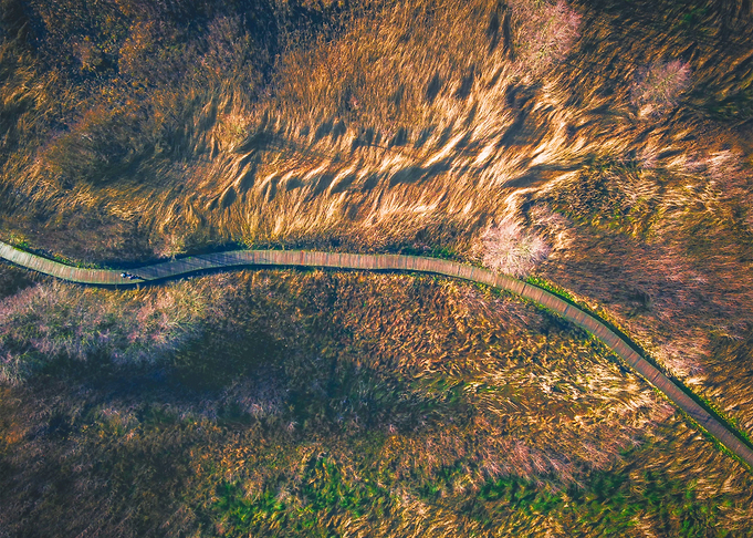 World From Above