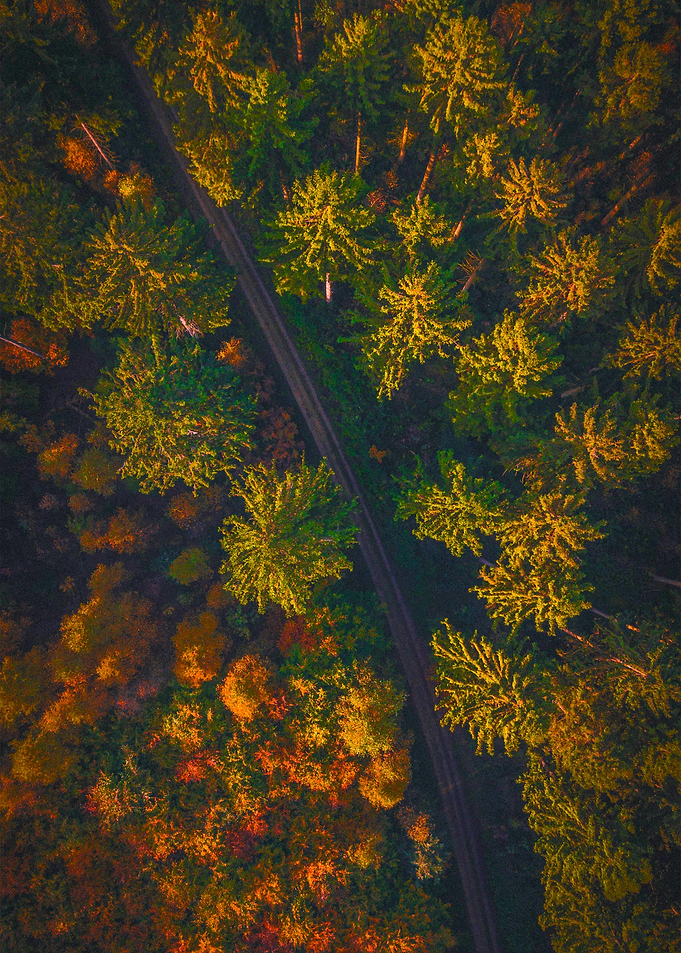 World From Above