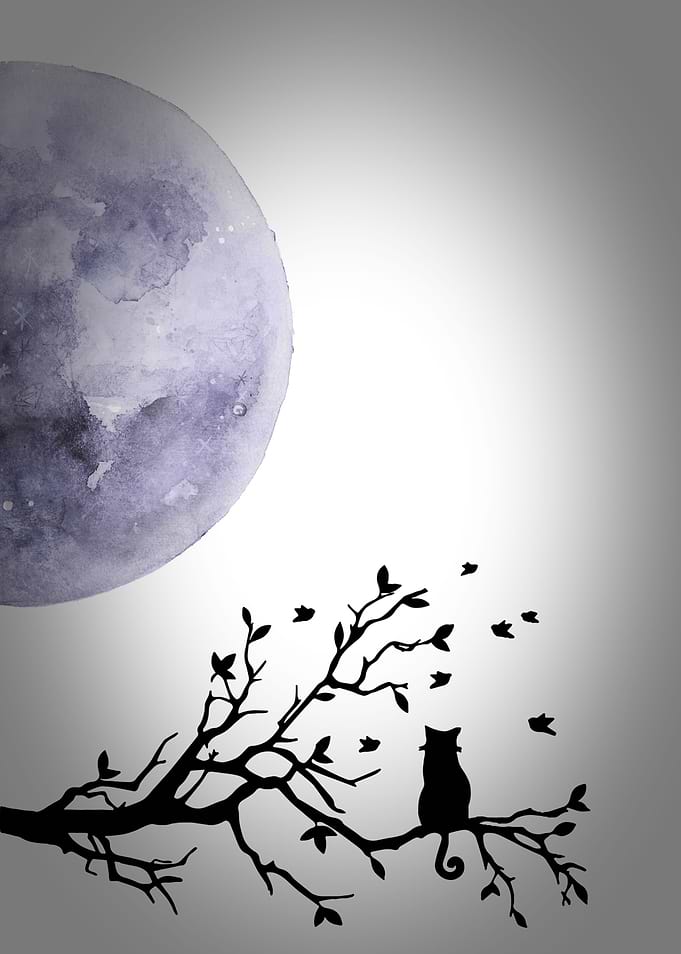 Cat on the tree