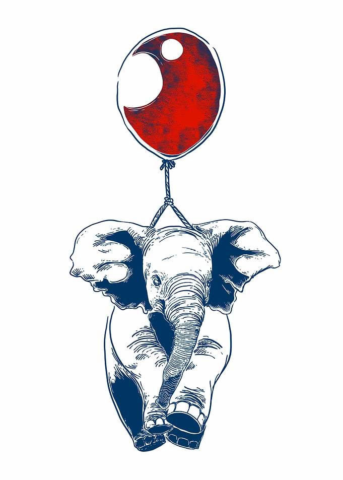 elephant circus