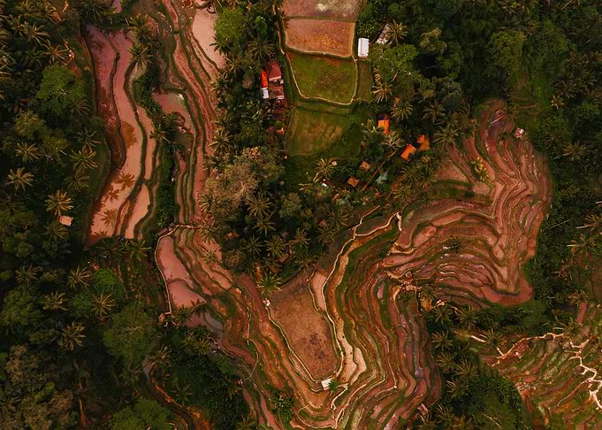 World From Above