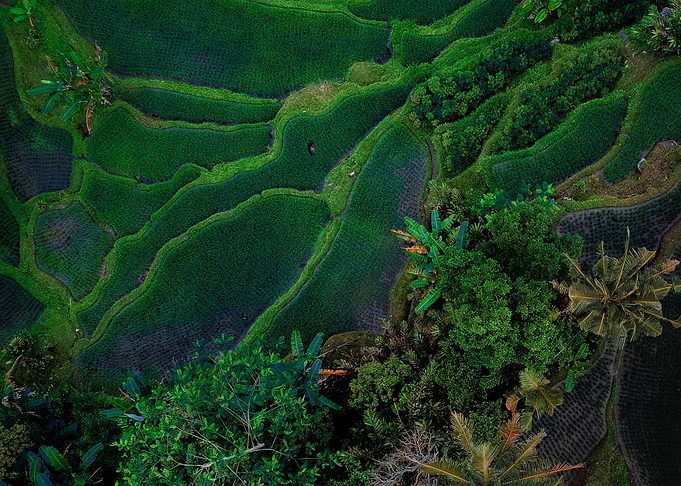 World From Above