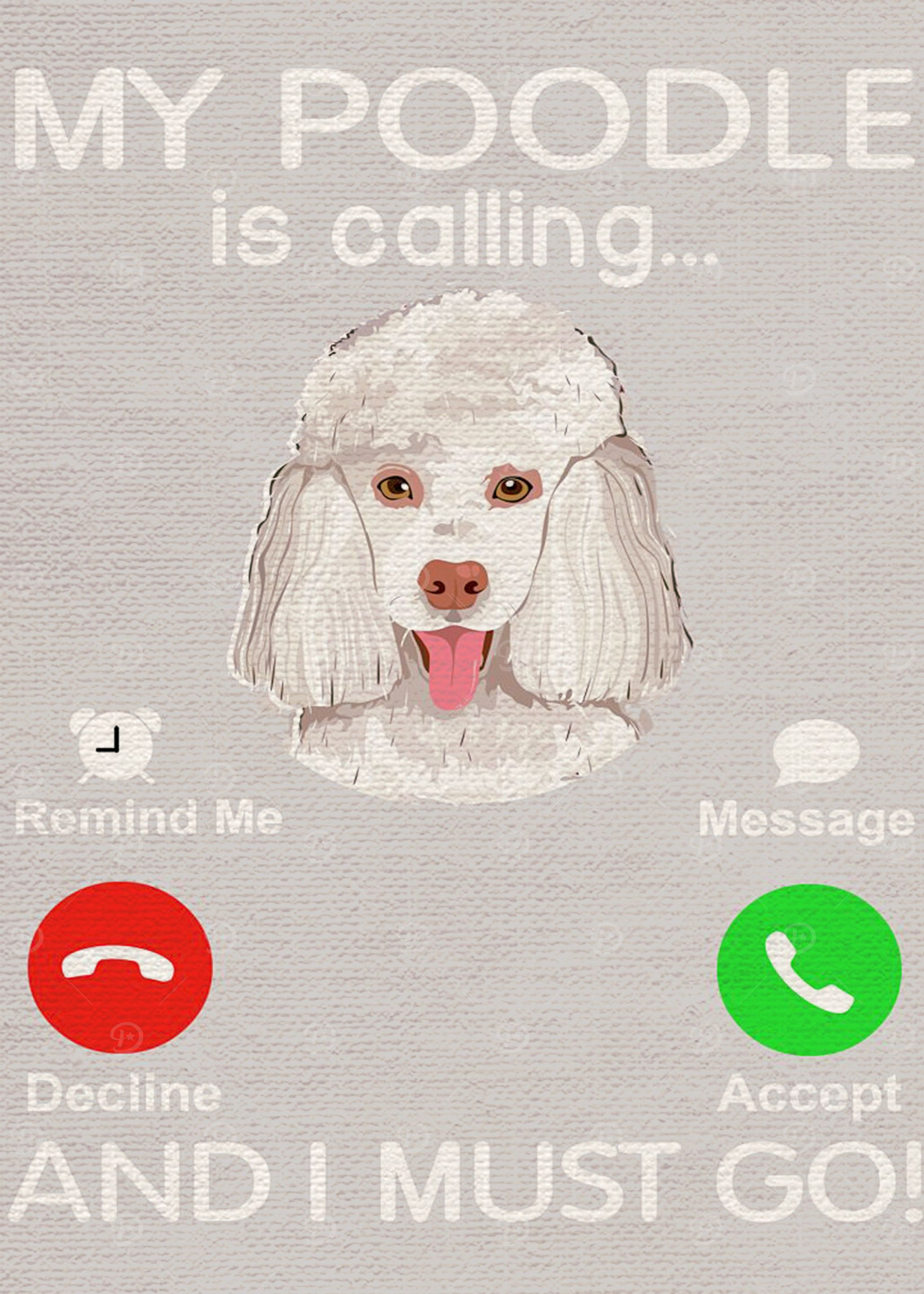 Poodle Poster