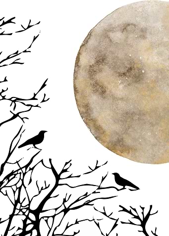 Moon and birds 2