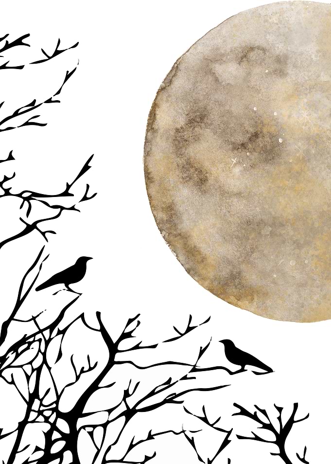 Moon and birds 2