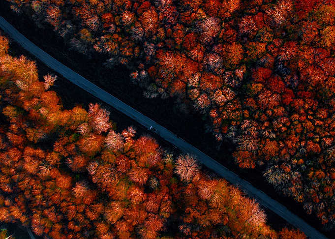 World From Above