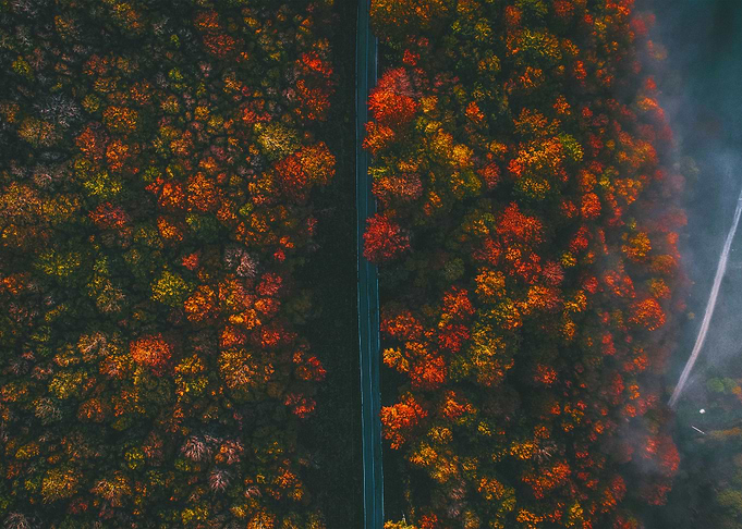 World From Above