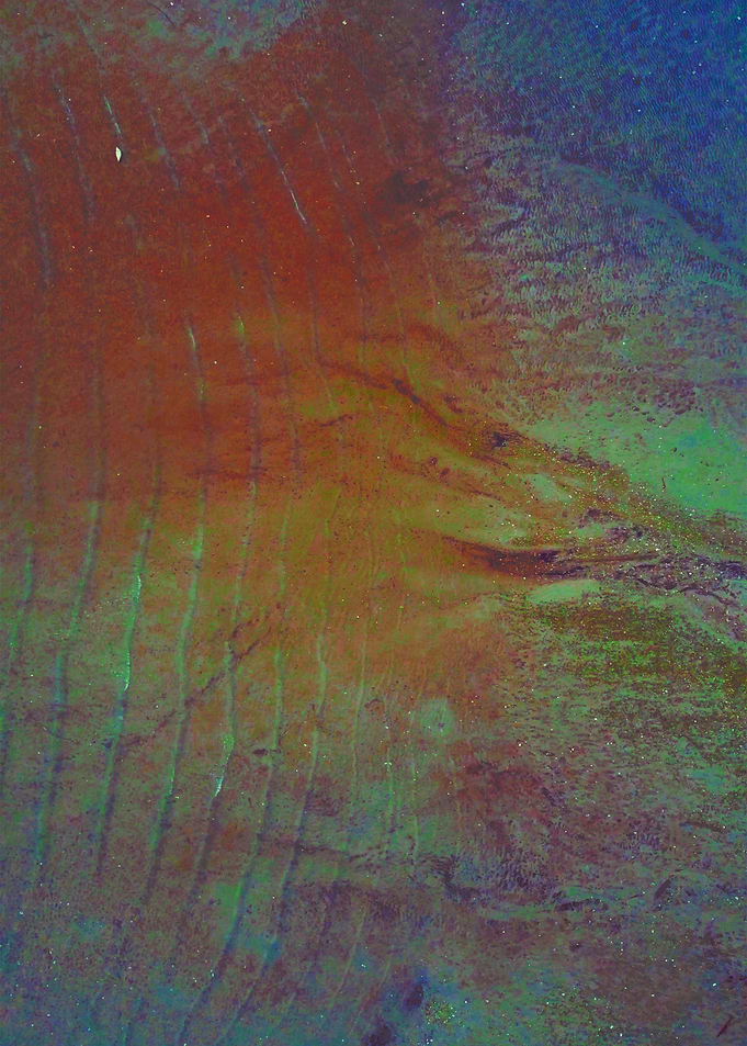 World From Above