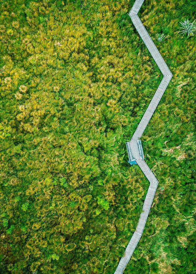 World From Above