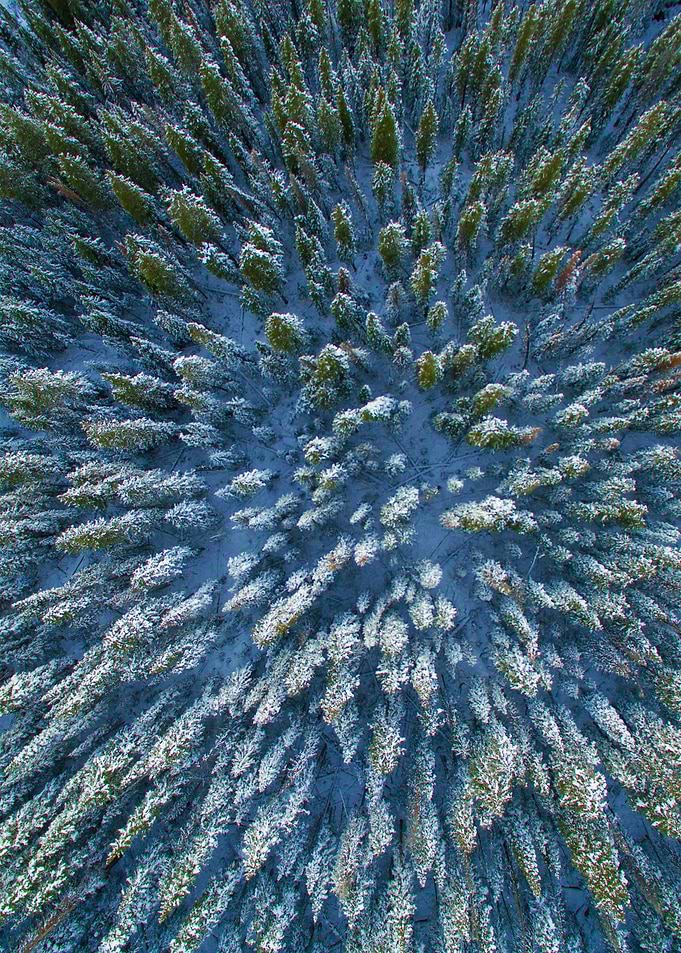 World From Above