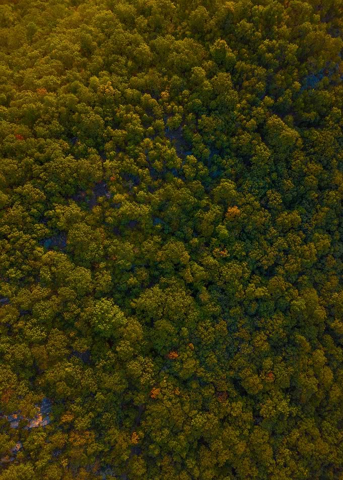 World From Above