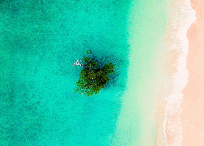 World From Above