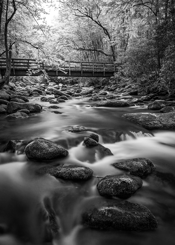 The Stream