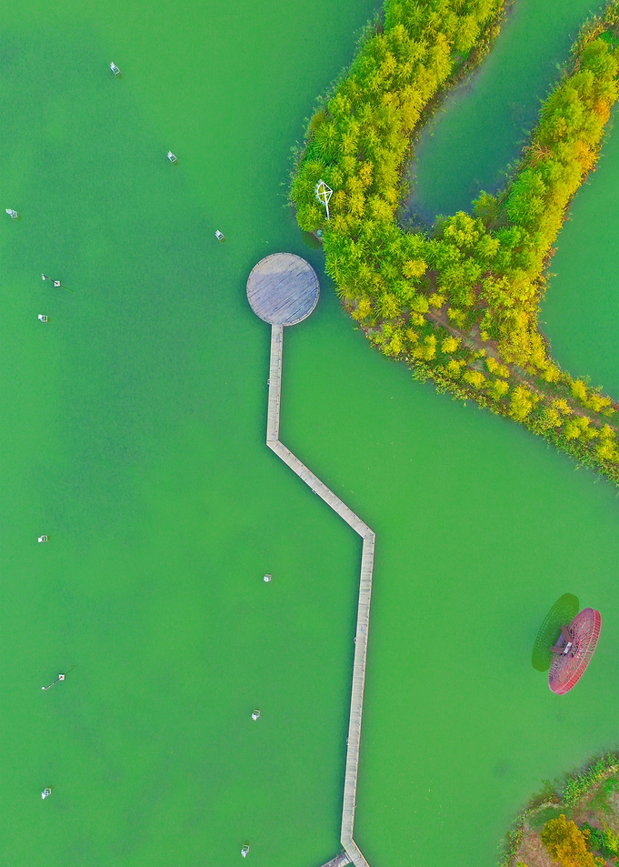 World From Above