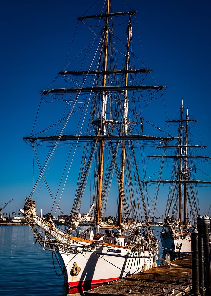 The Tall Ships