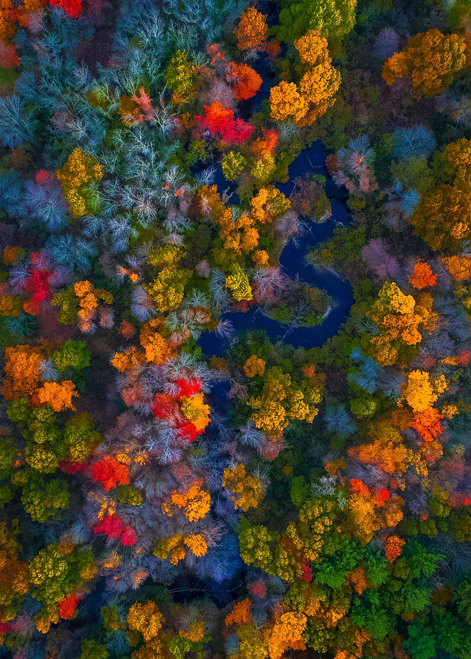 World From Above