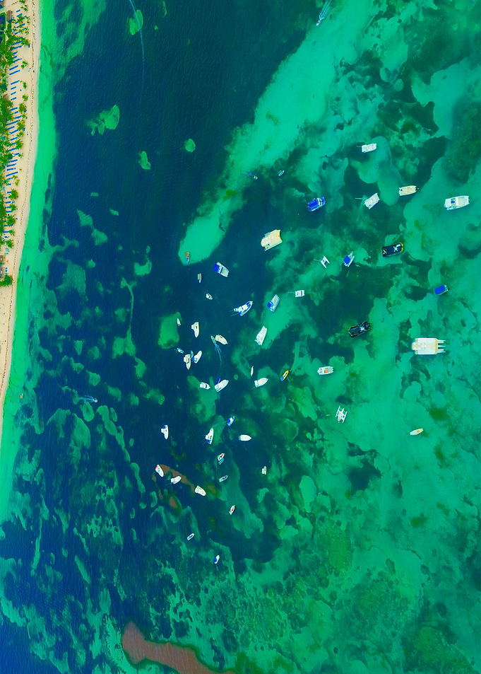 World From Above
