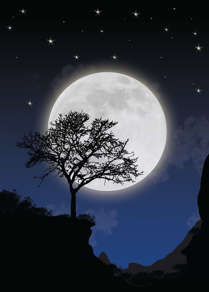 night sky