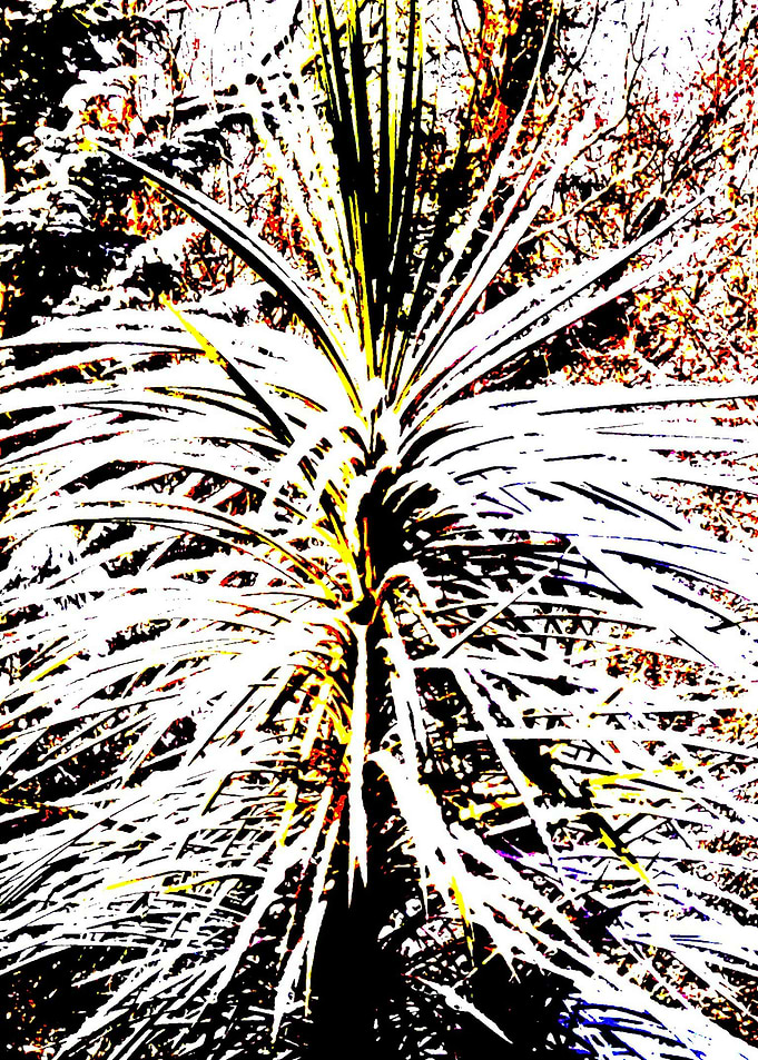 Spikey