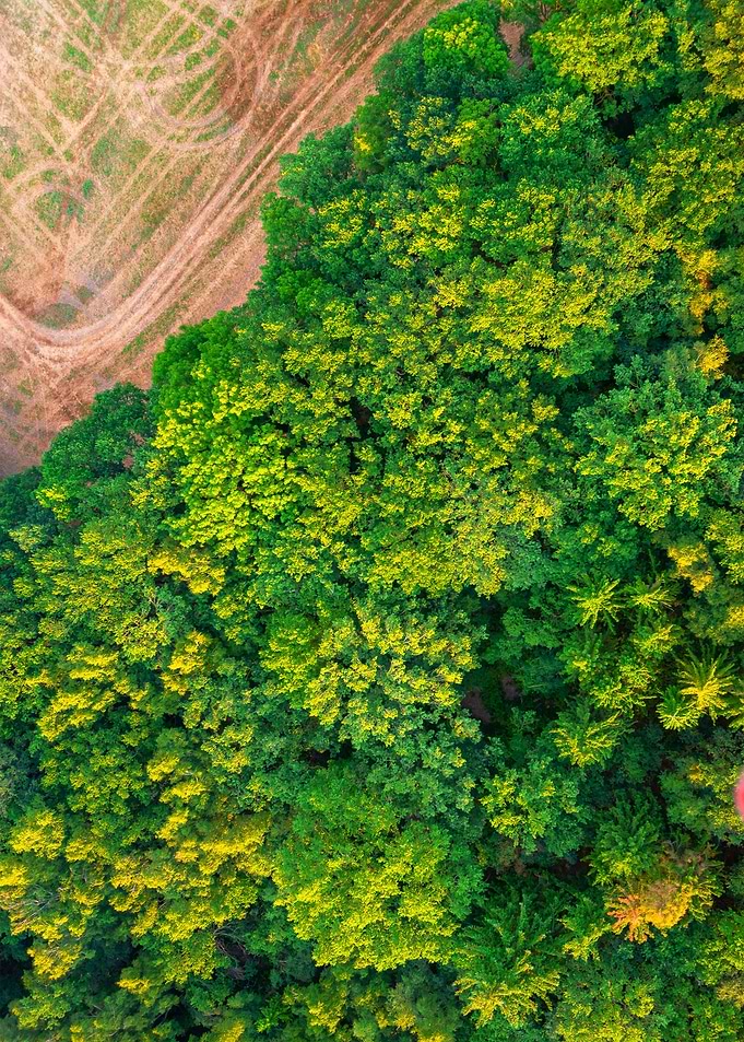 World From Above