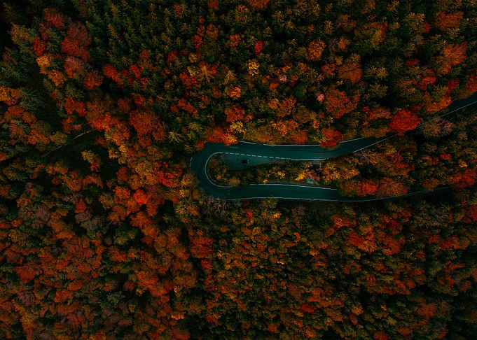 World From Above
