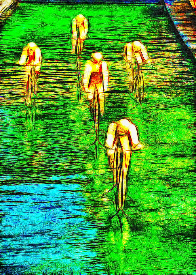 Bikes
