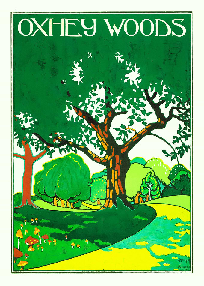 ENGLAND FOREST