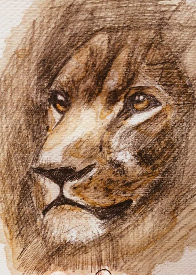 Lion with Coffee