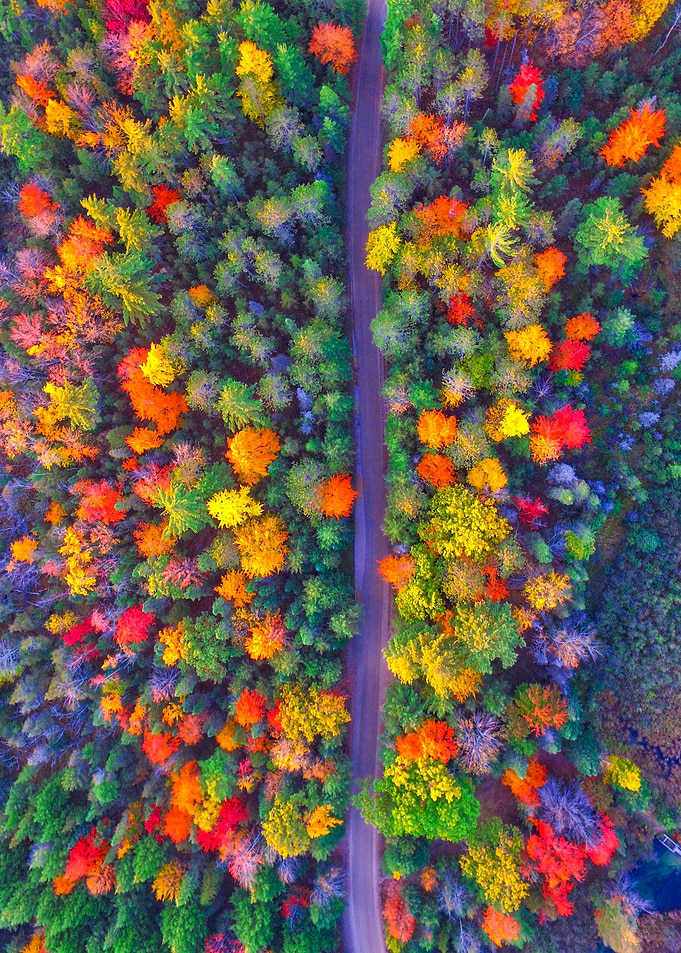 World From Above
