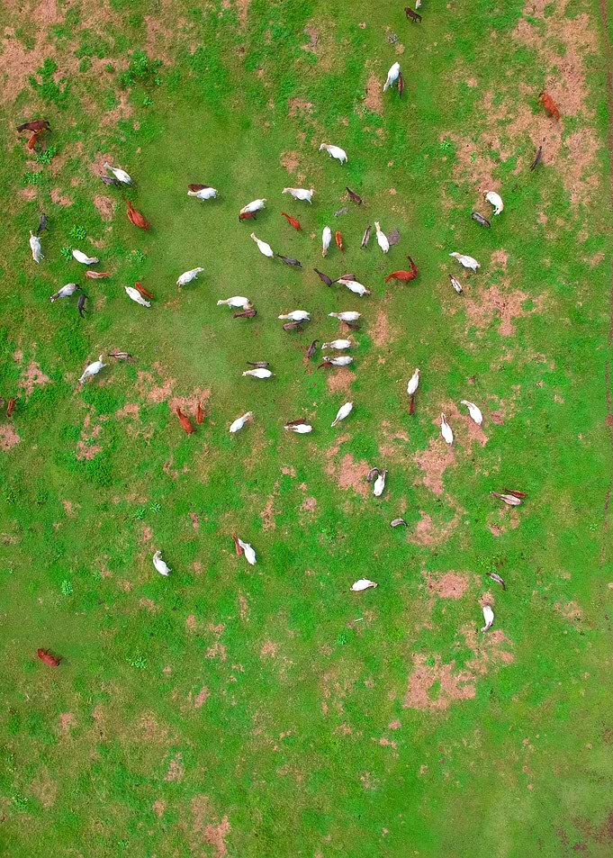 World From Above