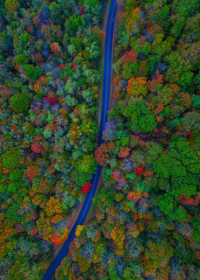 World From Above