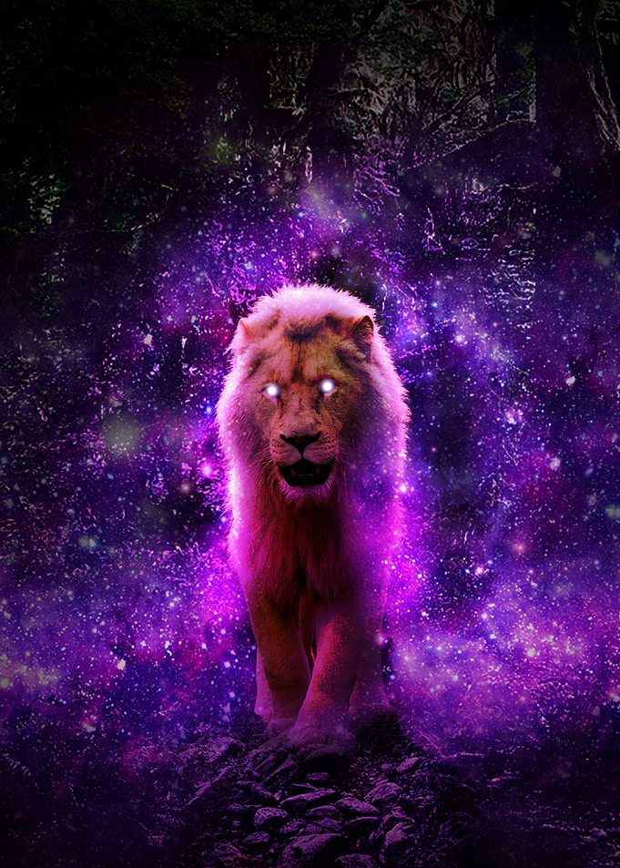 The Magical Lion