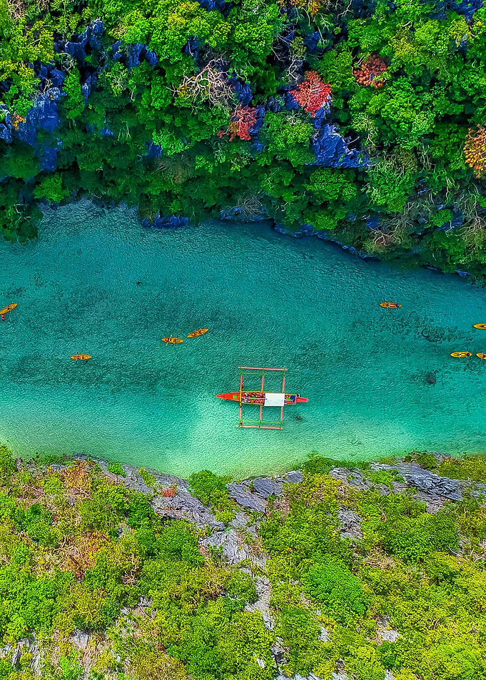 World From Above
